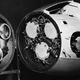 Illustration for article titled The Pigeon-Guided Missiles and Bat Bombs of World War II